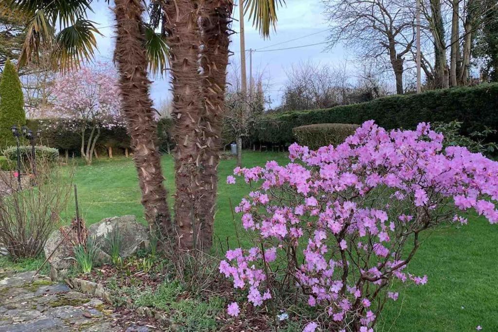 Вилла Le Nalousie Livry  Экстерьер фото